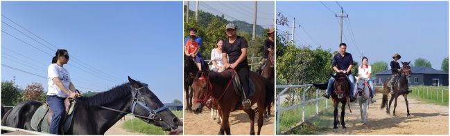 yl7703永利官网(集团)有限公司