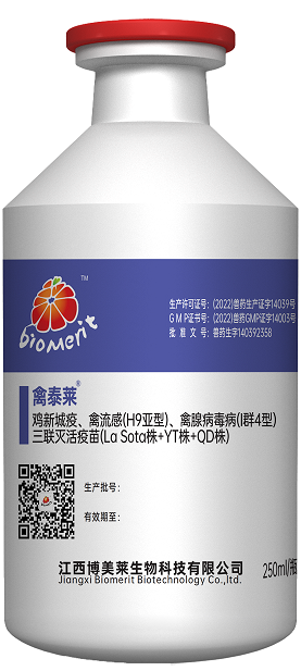 yl7703永利官网(集团)有限公司