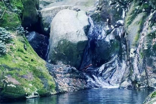 yl7703永利官网(集团)有限公司