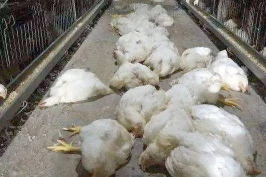 yl7703永利官网(集团)有限公司