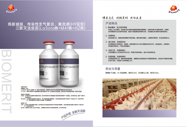 yl7703永利官网(集团)有限公司