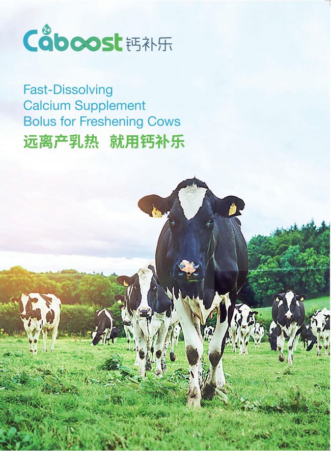 yl7703永利官网(集团)有限公司