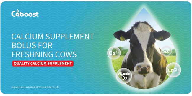 yl7703永利官网(集团)有限公司