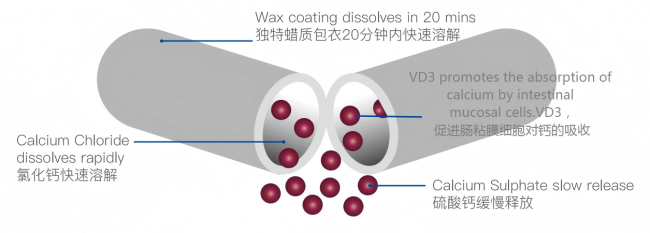 yl7703永利官网(集团)有限公司